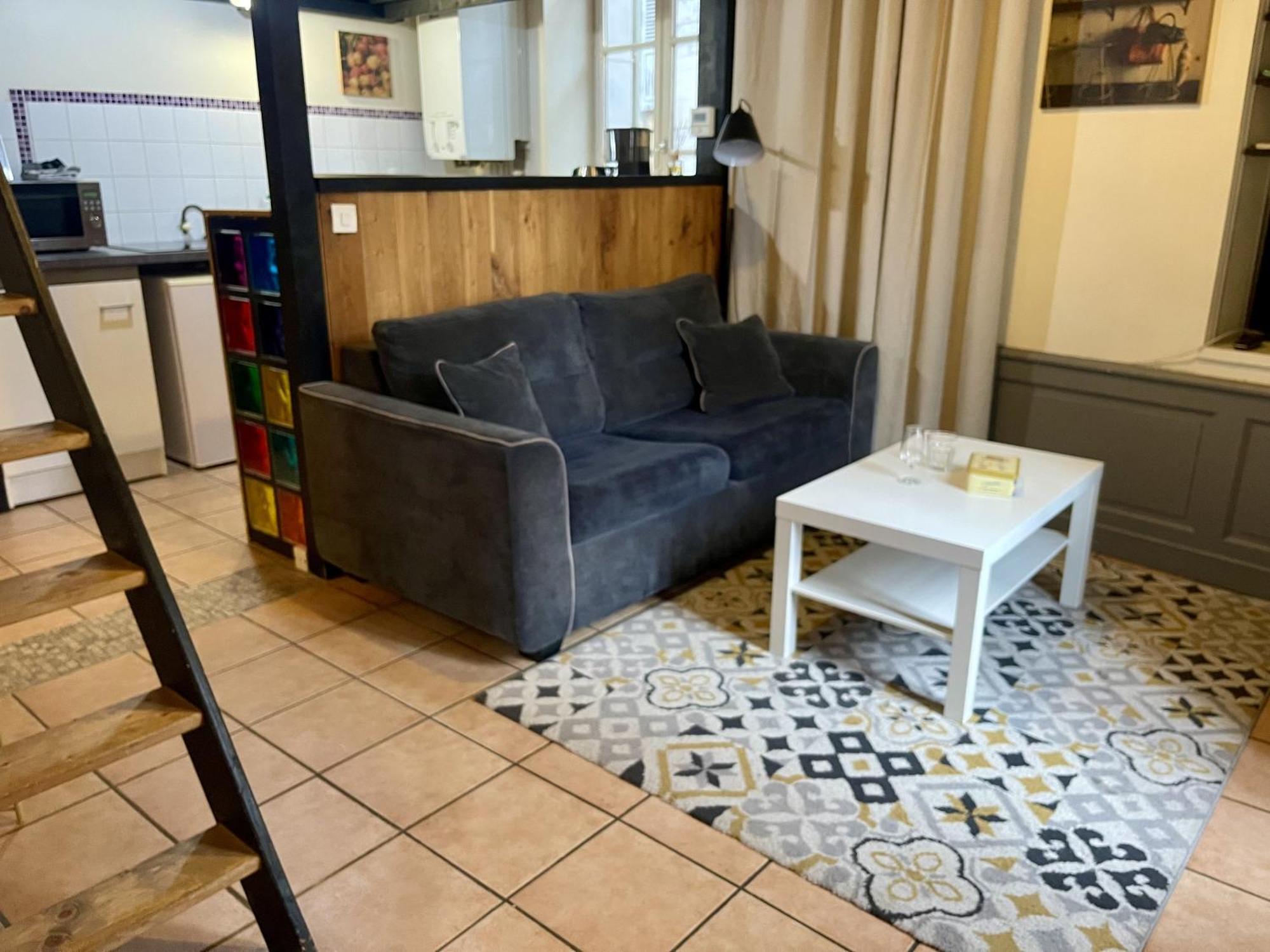 Appartement Le Cadet Roussel Auxerre Les Quais Eksteriør billede